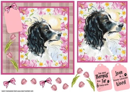 Pink tulips Springer card front 1