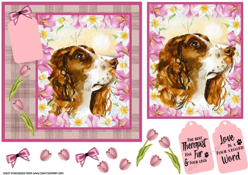 Pink tulips Springer card front 3