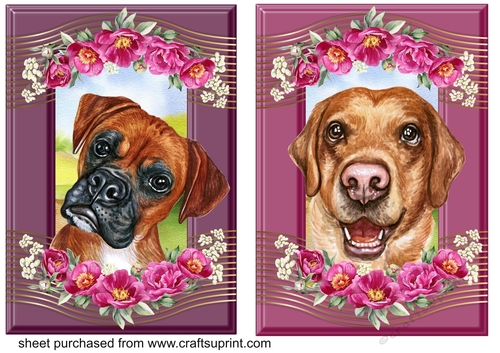 2 Crimson floral pup card fronts 1