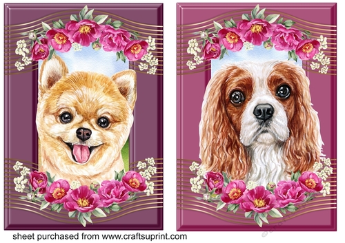 2 Crimson floral pup card fronts 2