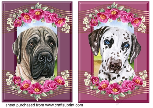 2 Crimson floral pup card fronts 3