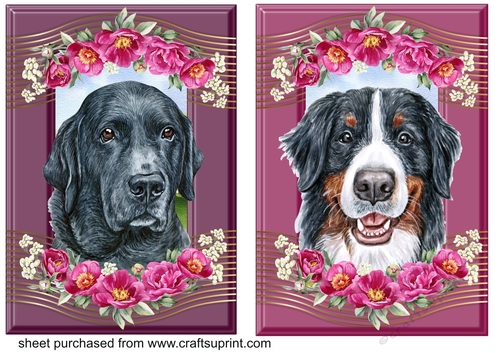 2 Crimson floral pup card fronts 4