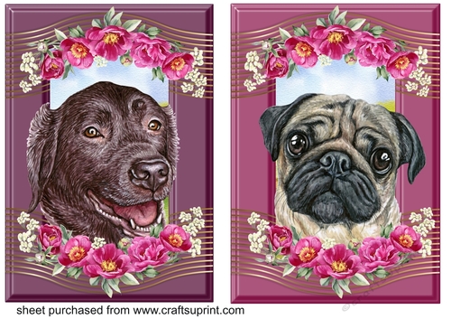 2 Crimson floral pup card fronts 5
