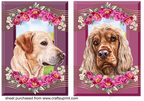 2 Crimson floral pup card fronts 7