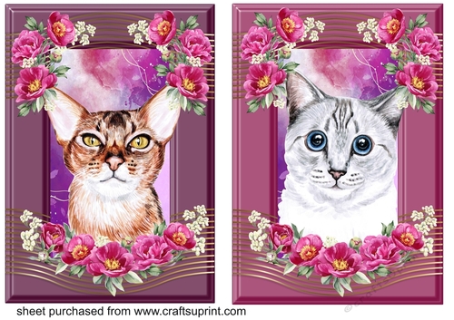 2 Crimson floral cat card fronts 2