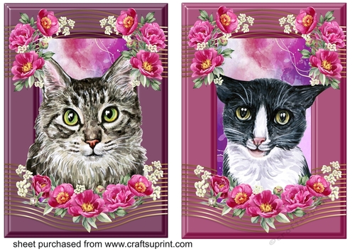2 Crimson floral cat card fronts 3