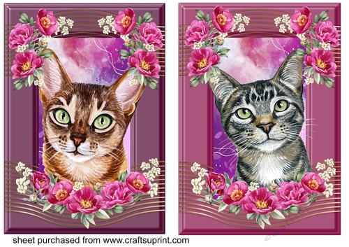 2 Crimson floral cat card fronts 4