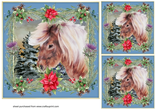 3 Poinsettia Highland pony card front/toppers 2