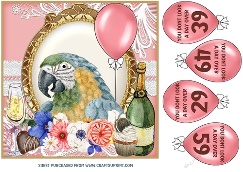 You dont look a day over Birthday card front 4