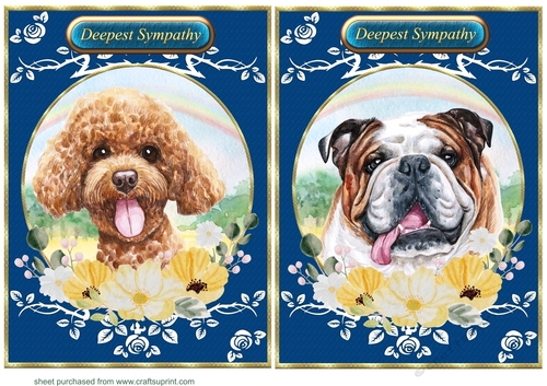2 Floral rainbow dog card fronts 4