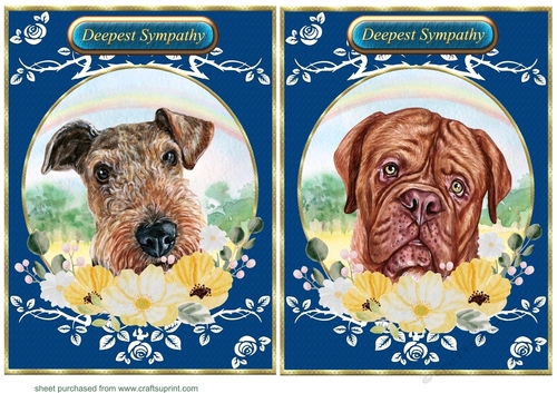 2 Floral rainbow dog card fronts 7