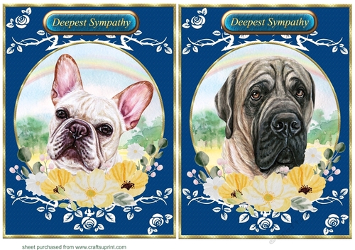 2 Floral rainbow dog card fronts 8