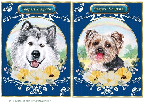 2 Floral rainbow dog card fronts 13