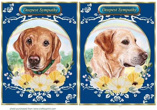 2 Lab floral rainbow card fronts 1