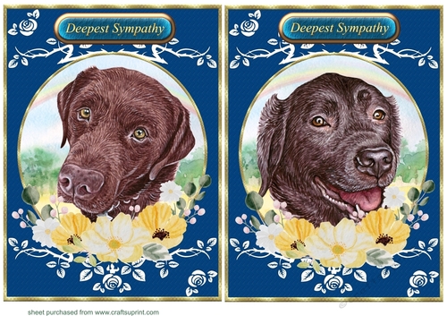 2 Lab floral rainbow card fronts 2