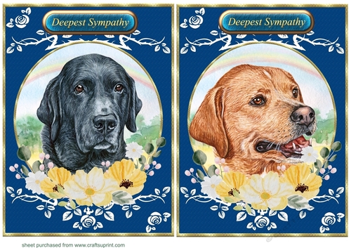 2 Lab floral rainbow card fronts 3