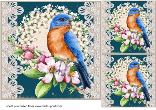 3 Floral bird card front/toppers 2