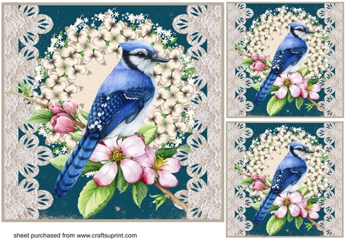 3 Floral bird card front/toppers 3