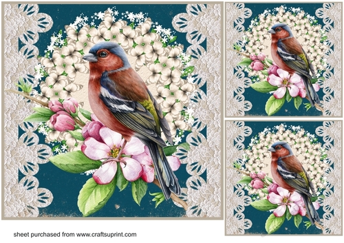 3 Floral bird card front/toppers 4