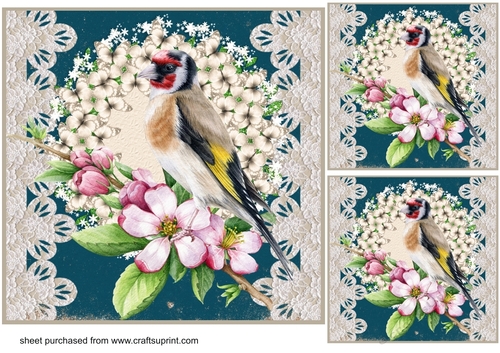 3 Floral bird card front/toppers 6