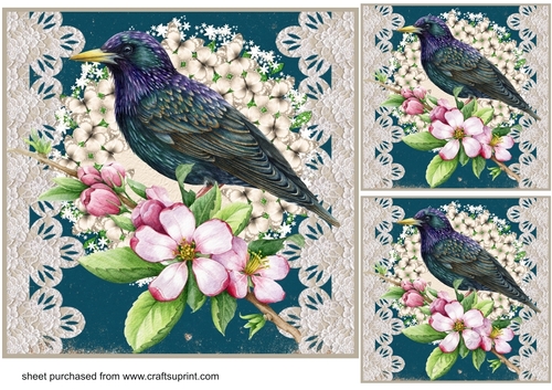 3 Floral bird card front/toppers 10