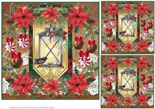 3 Red poinsettia Christmas bird card front/toppers