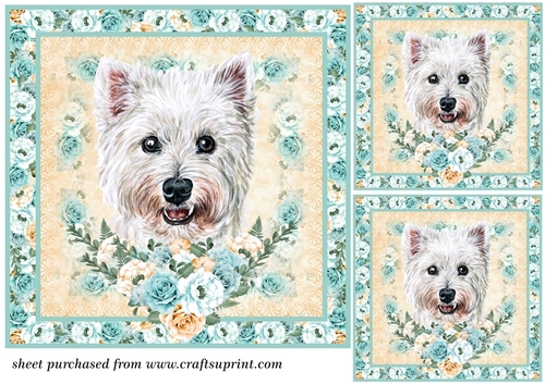 3 Blue and orange rose cute dog card front/toppers 2