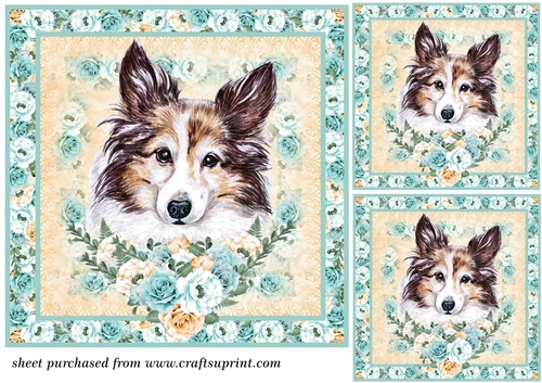 3 Blue and orange rose cute dog card front/toppers 3