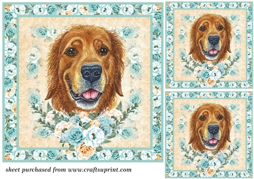 3 Blue and orange rose cute dog card front/toppers 5