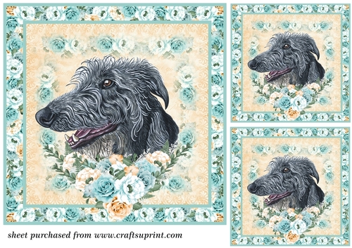 3 Blue and orange rose cute dog card front/toppers 6