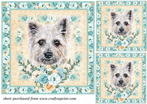 3 Blue and orange rose cute dog card front/toppers 8
