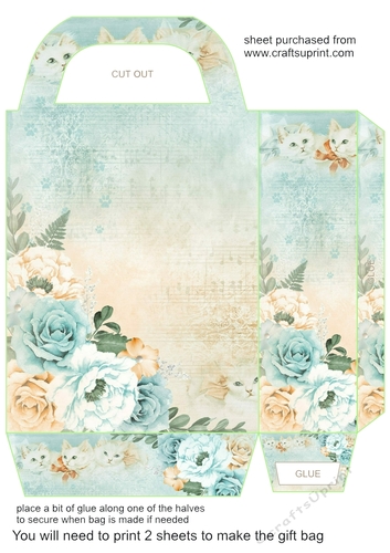 Fire and ice roses gift bag 3