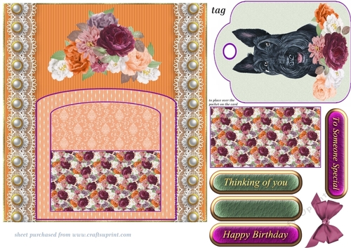 Orange and purple cute dog pocket card front 1