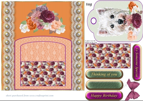 Orange and purple cute dog pocket card front 3