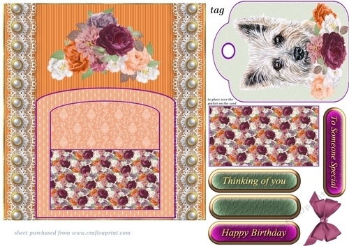 Orange and purple cute dog pocket card front 6