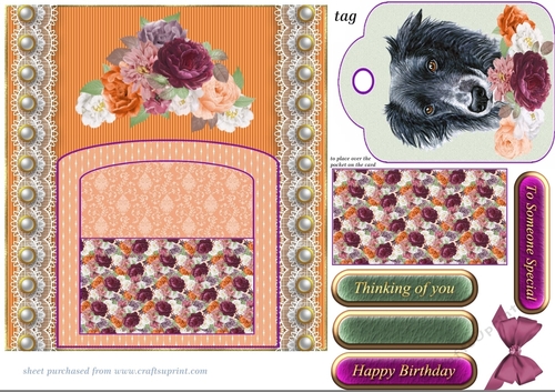 Orange and purple cute dog pocket card front 7