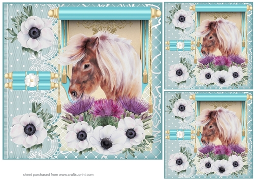 3 Turquoise floral Highland pony card front/toppers
