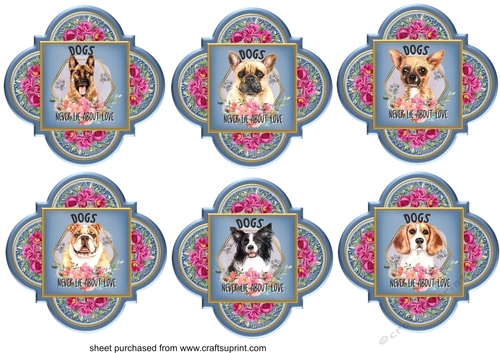 6 Floral dogs never lie toppers 1