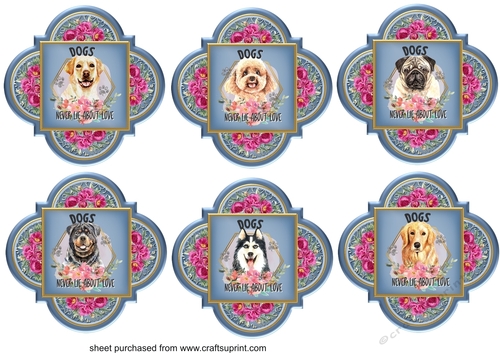 6 Floral dogs never lie toppers 2