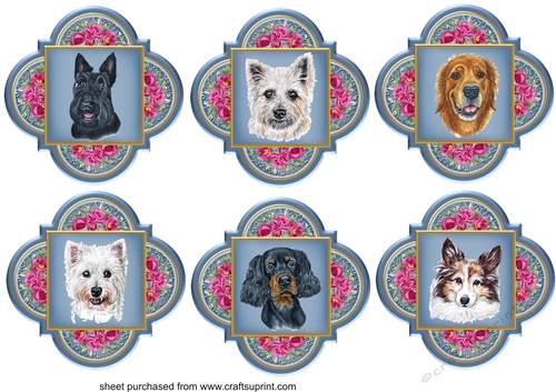 6 Floral assorted dog toppers 1