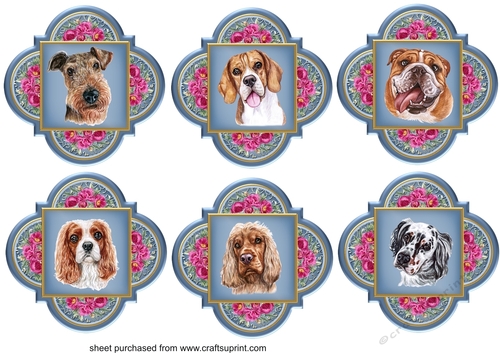 6 Floral assorted dog toppers 2