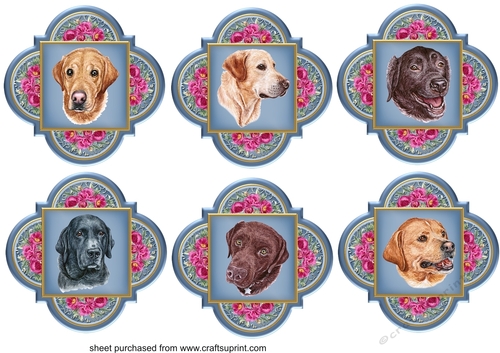 6 Floral Labrador toppers