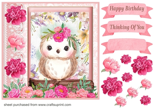 Pink floral owl card front 