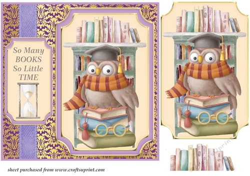 Owl so many books card front