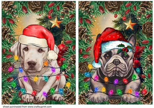 2 Christmas tree light dog card fronts 1