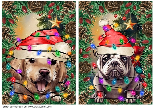 2 Christmas tree light dog card fronts 2