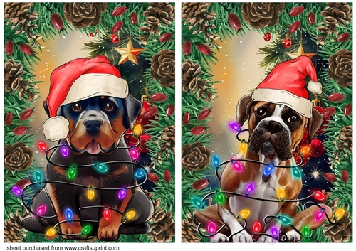 2 Christmas tree light dog card fronts 3