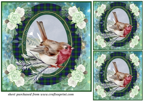 3 Tartan Winter robin card front/toppers 1