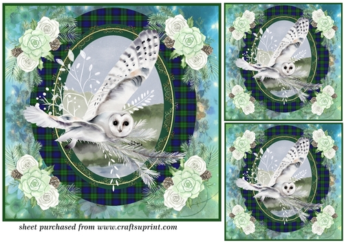 3 Tartan Winter owl card front/toppers 2