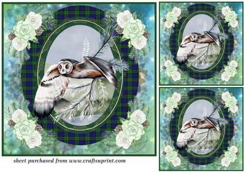 3 Tartan Winter owl card front/toppers 1
